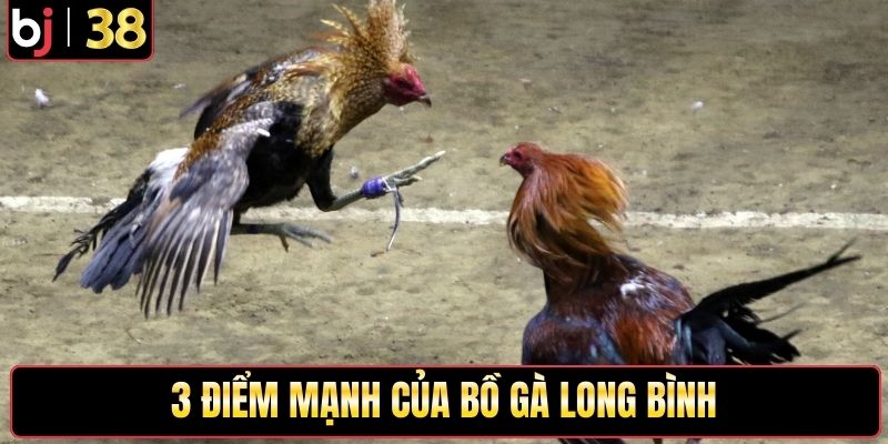 3 điểm mạnh của bồ gà Long Bình