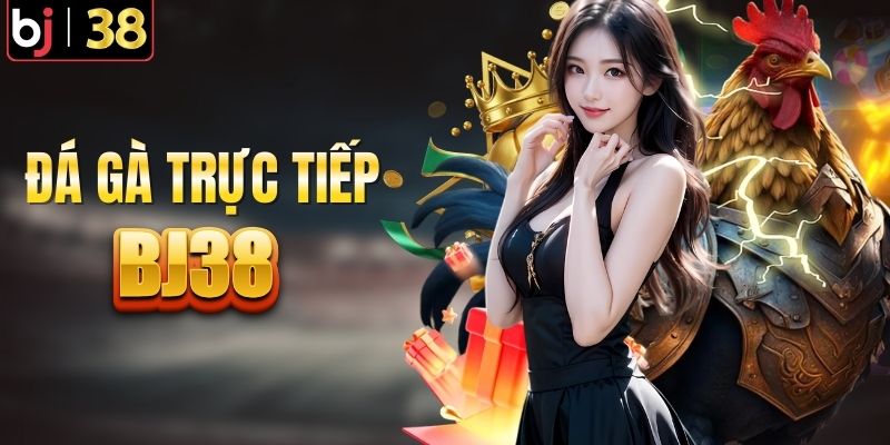 BJ38 nơi trực tiếp các trận đấu gà danh tiếng
