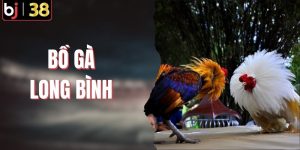 Bồ Gà Long Bình | Tất Tần Tật Thông Tin Về Trường Đấu HOT