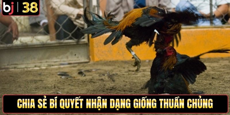 Chia sẻ bí quyết nhận dạng giống thuần chủng
