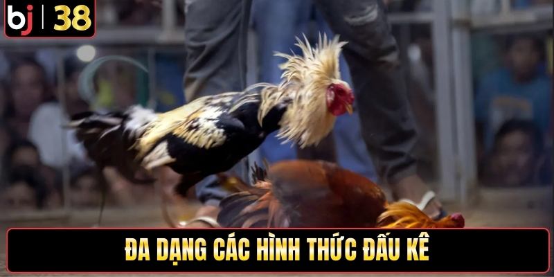 Đa dạng các hình thức đấu kê