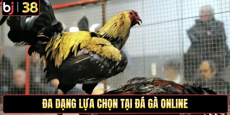 Đa dạng lựa chọn tại đá gà online