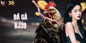 Đá Gà BJ38 – Đấu Trường Máu Lửa Của Những Chiến Kê Bất Bại