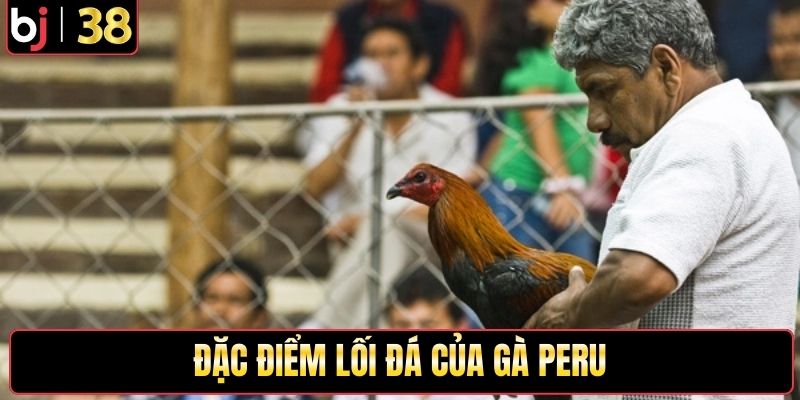 Đặc điểm lối đá của gà Peru