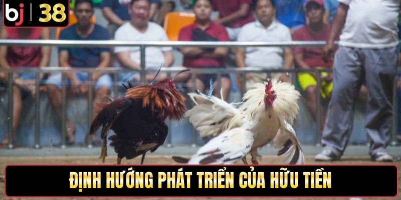 Định hướng phát triển của Hữu Tiền