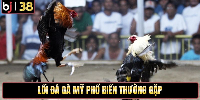 Lối đá gà mỹ phổ biến thường gặp