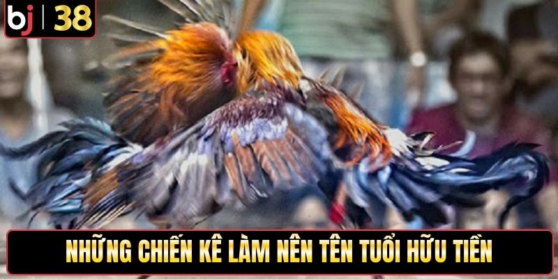 Những chiến kê làm nên tên tuổi Hữu Tiền