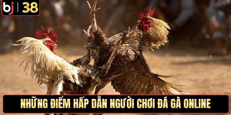 Những điểm hấp dẫn người chơi đá gà online