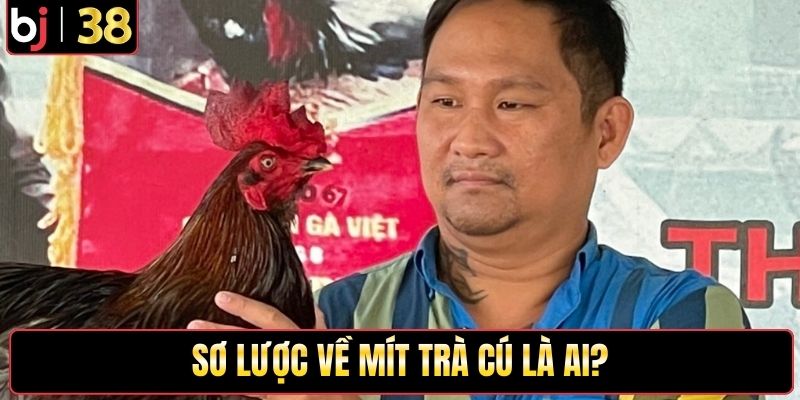 Sơ lược về Mít Trà Cú là ai?