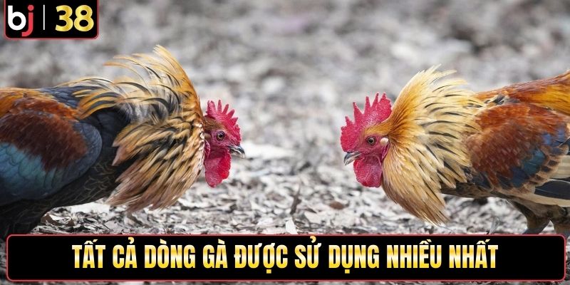 Tất cả dòng gà được sử dụng nhiều nhất