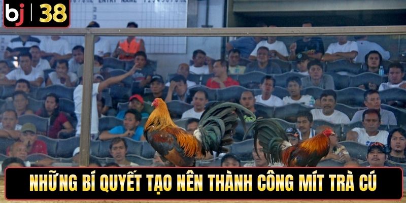 Tất cả những bí quyết tạo nên thành công Mít Trà Cú