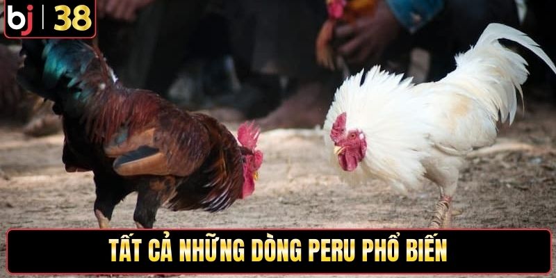 Tất cả những dòng Peru phổ biến